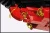 1686-rms-titanic-feature-4.webp