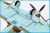 5764-supermarine-spitfire-mkixe-feature-5.webp