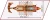 20071-roman-warship-feature-2.webp
