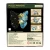 Morpho-Helena-4.webp