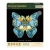 Morpho-Helena-5.webp