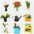 DG104-3.webp