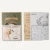 TG403-2.webp