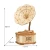 TG408尺寸图.webp