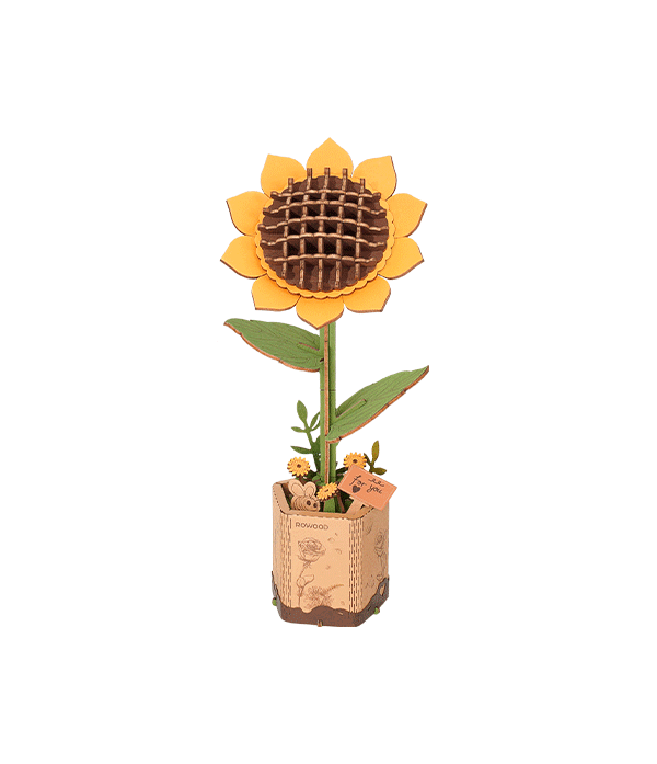 TW011-main.webp