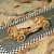 MC401-scene.webp