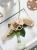 LQ401-23.webp